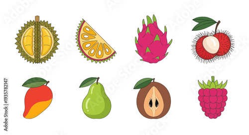 Colorful tropical fruits illustration set