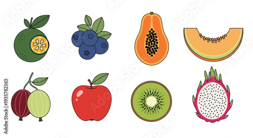 Colorful vector fruits collection isolated
