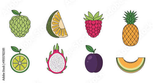 Colorful vector fruits on white background