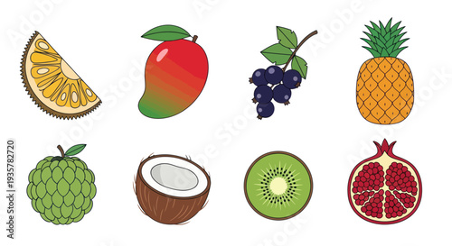 Colorful vector illustrations of various fruits
