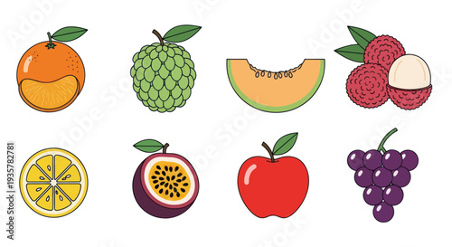 Colorful vector illustrations of various fruits