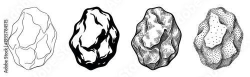 Four black and white raisin illustrations show different graphic styles including line art, silhouette, engraving, and stippling for a vintage, hand-drawn artistic concept