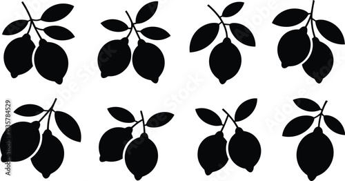 Lemon branch silhouette collection, botanical illustration design, citrus fruit artwork, natural plant graphic, black foliage pattern, organic decorative elementv