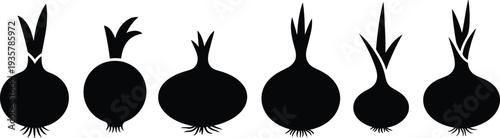 Onion silhouette collection, sprouting vegetable illustration, botanical plant artwork, organic food design, black agriculture graphic, gardening biology decorative element