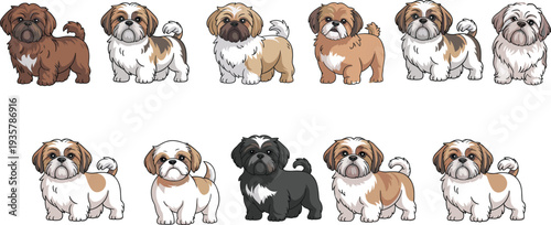 Shih tzu dog cartoon set, cute small puppy characters, different coat colors collection, pet mascot clipart, flat vector illustration isolated on white