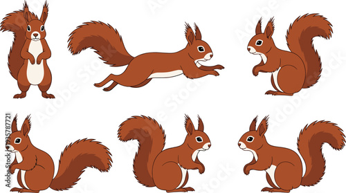 Red squirrel different poses wildlife forest animal vector illustration set