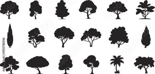 Tree silhouette collection, various forest and garden tree shapes including deciduous, conifer and palm trees, black nature vector icons set