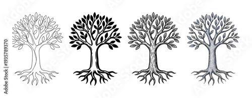 Set of four stylized tree of life illustrations in different artistic styles like outline, silhouette, engraving, and stippling, representing growth and nature