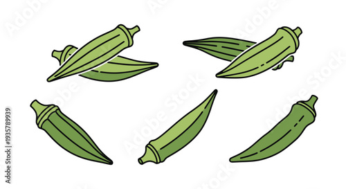 Okra Line art vector set soft abstract style illustration