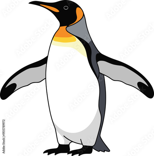 Emperor penguin standing Antarctic wildlife bird vector illustration