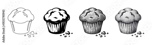 Collection of four muffin illustrations rendered in various black and white artistic styles from simple line art and graphic silhouette to detailed engraving and stippling