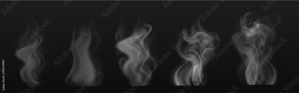 Fototapeta premium Smoke and Steam Effects Set - White Wispy Smoke Swirls 