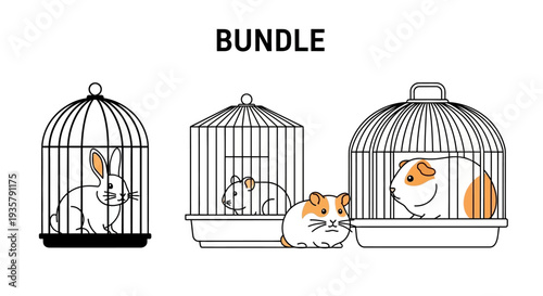 Guinea Pigs in Cages.