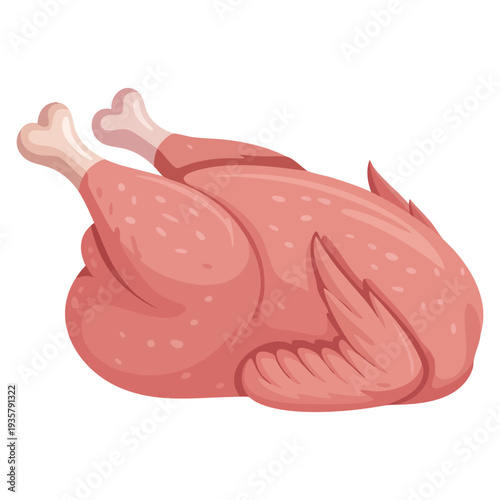 Fresh whole raw chicken vector illustration isolated on white background perfect for poultry packaging butcher shop menu and food product design