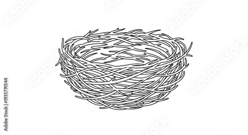 Birds Nest Illustration Drawing.