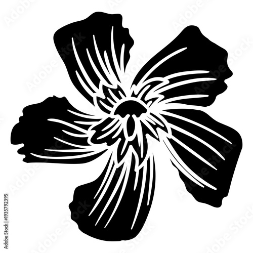 Flower petal detailed silhouette