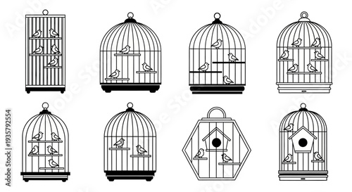 Birdcage Illustrations in Variety.