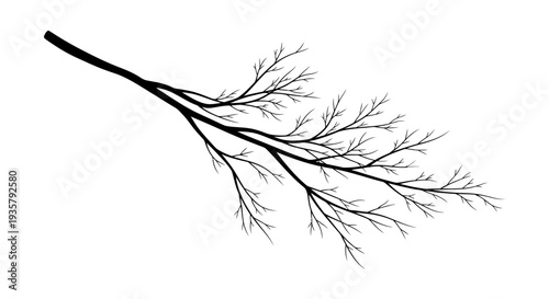 Black Branch Silhouette.