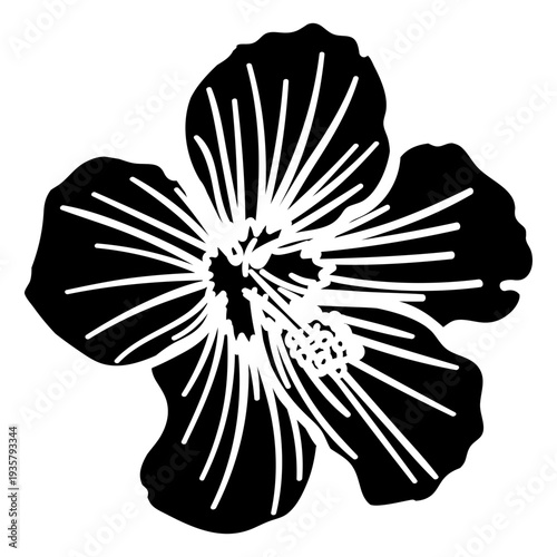 Stamen flower petal detailed silhouette