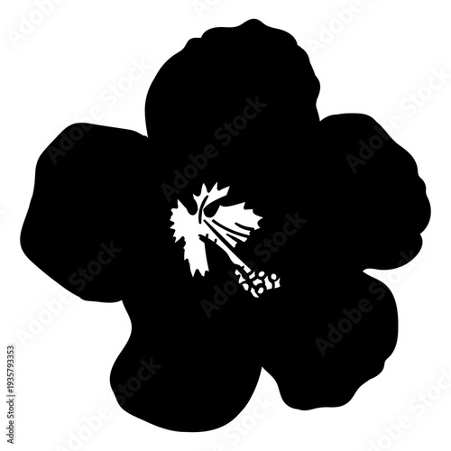 Stamen flower petal silhouette detailed
