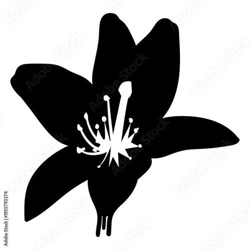 Stamen petal flower silhouette detailed