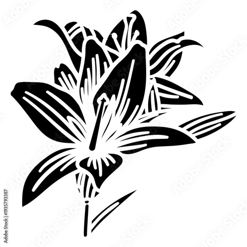 Stamen petal flower stem detailed silhouette