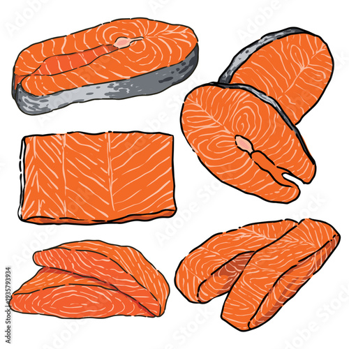 Hand drawn sliced salmon food illustration