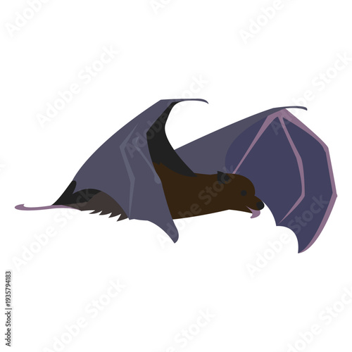 Flat bat