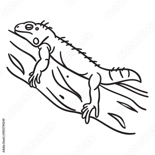 Sleeping lizard stroke