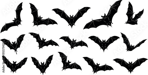Flying bat silhouettes collection with different wing poses, spooky Halloween night animals set, gothic horror bats isolated flat vector illustration
