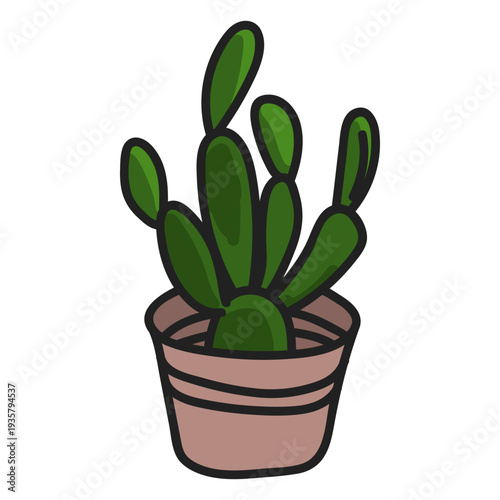Succulents green plant illustration