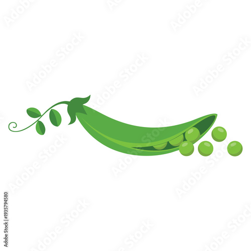 Green pea pod vegetable icon element for packaging and menu design natural green healthy eco product vector illustration