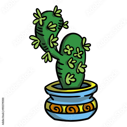 Cactus succulent plant pot