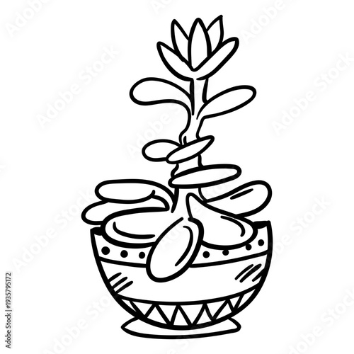 Jade plant pot succulent outline