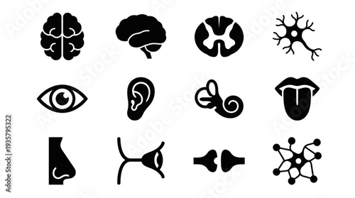 Diverse collection of human anatomy icons, illustrating essential organs, sensory systems, and neurological components in a sleek black silhouette style
