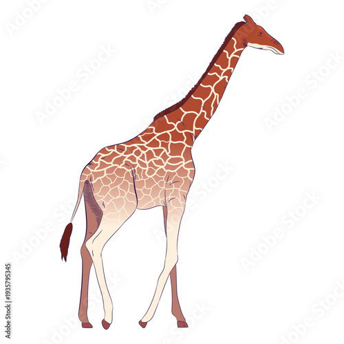 Canvas Print Wild animal giraffe hand drawn colorful