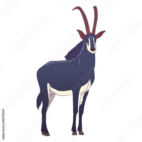 Wild animal antelope hand drawn colorful
