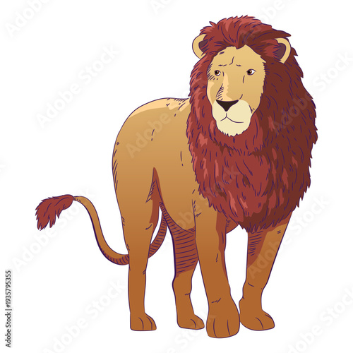 Photography Wild animal lion hand drawn colorful