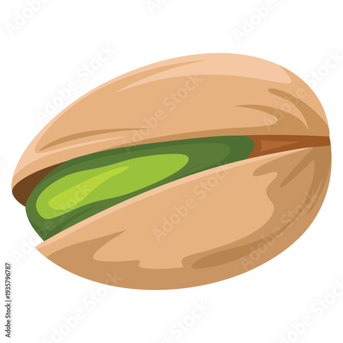 Healthy food pistachio nut vector illustration isolated design ideal for organic snack branding nutrition concept packaging and grocery themed artwork