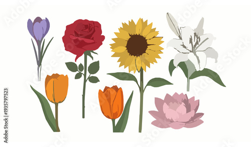Hand Drawn Style Blooming Garden Flowers Set Crocus Rose Sunflower Lily Tulip Lotus Minimal Vector on White