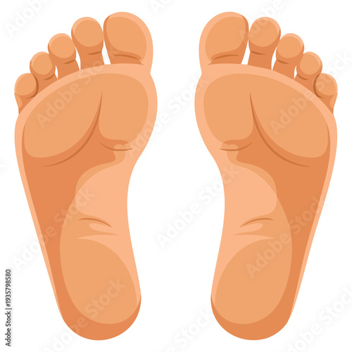 Icon of human foot plant isolated design suitable for anatomy ecology growth nature footprint and environmental concept illustration