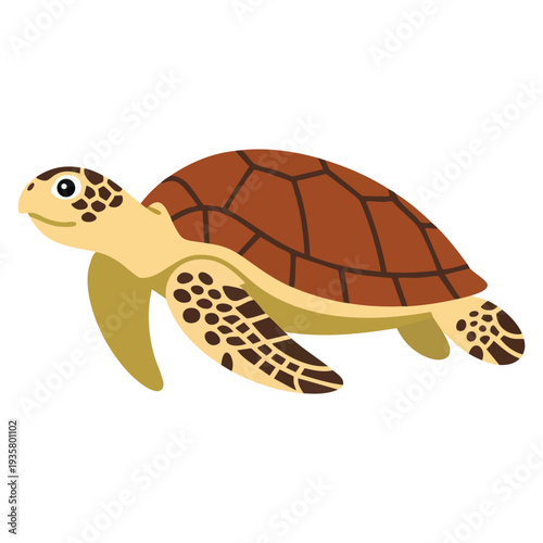 Illustration of sea turtle biology icon ideal for marine ecosystem study ocean animal awareness scientific content and wildlife themed educational designs