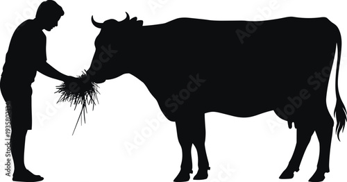 Black silhouette of a farmer feeding hay to a cow, rural farm life scene, domestic animal care vector illustration isolated on white.