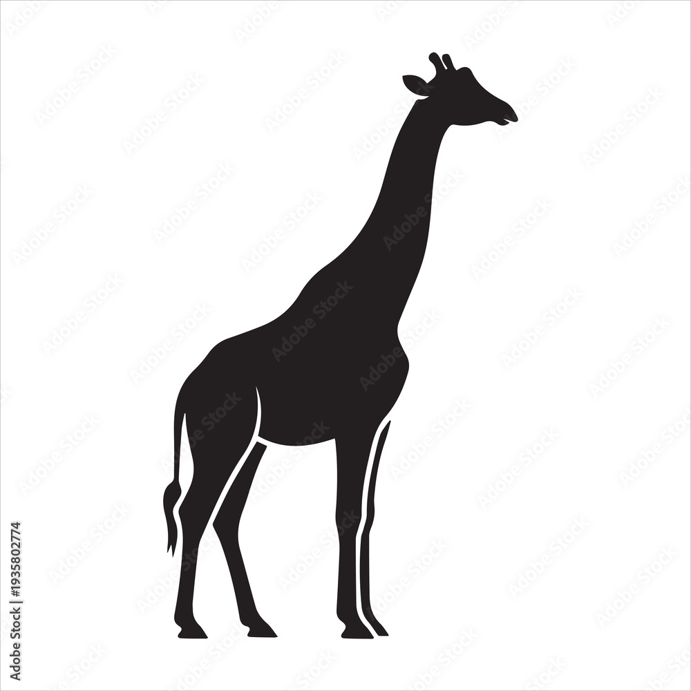 Fototapeta premium giraffe vector illustration