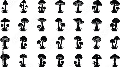 Mushroom silhouettes collection, wild forest fungi with different caps and stems black vector illustration isolated on white background for nature design