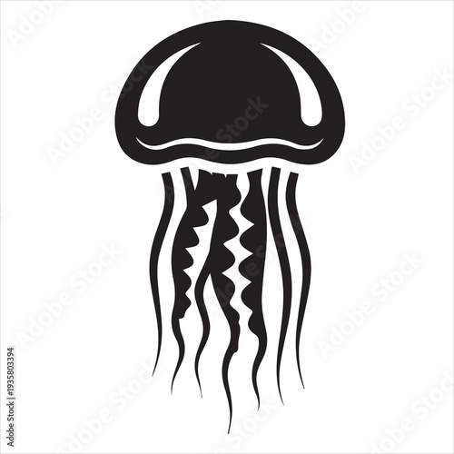 A jellyfish is placed alone on a white background.