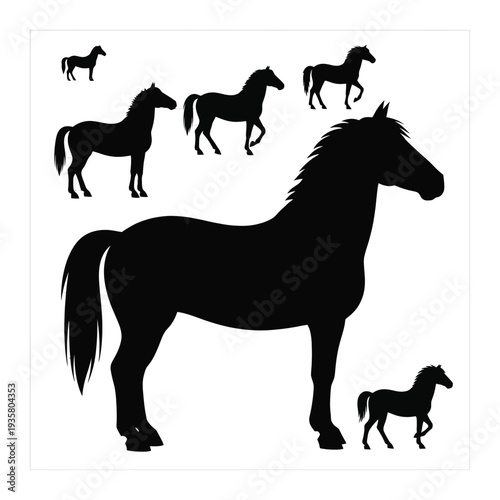 Silhouette of horses in various poses, black on white background