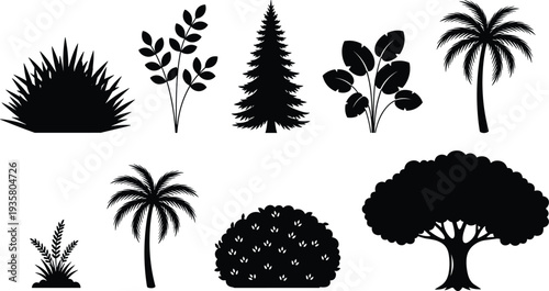 Tree and plant silhouette collection with palm, pine, bushes and tropical foliage, botanical nature vector illustration set