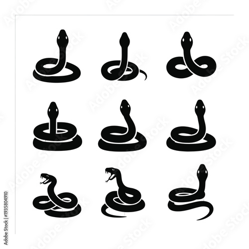 Black snakes coiled and standing, various poses, isolated on white background