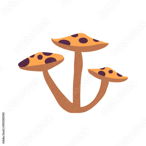 Hand drawn mushroom textured